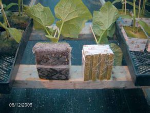 Growblock®